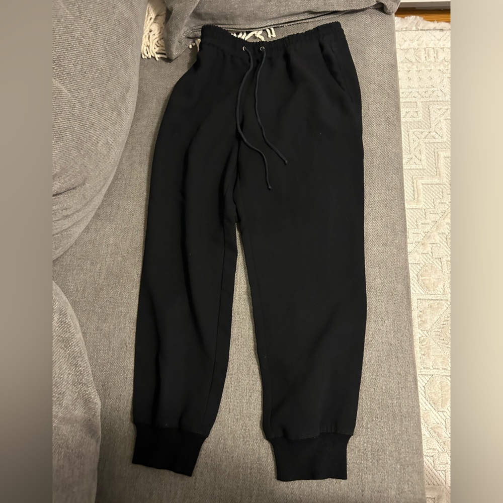 Aritzia Joggers